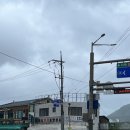 심마니인삼종합상사 이미지