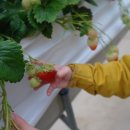 성윤농장 이미지