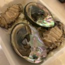 중앙시장 화장실 | [속초 횟집] 한스수산마켓 속초중앙시장본점 내돈내산 후기, 속초 회 포장 1위/광어 우럭 세트