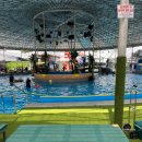 자유로 레저 | 취사 가능한 파주 수영장 추천 자유로레저 방문후기