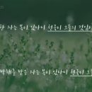 박해목장 네이버블로그