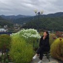 오름요양병원 이미지