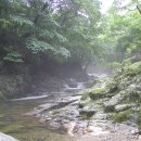 고둔치민박 이미지