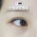 대전느리울초등학교 | 대전 속눈썹연장 잘하는곳 관저동 소월아이래쉬 내돈내산 후기