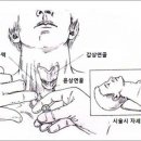 서울진마취통증의학과의원 이미지