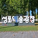 성포예술광장 이미지