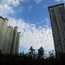 신동점 기아오토큐 이미지