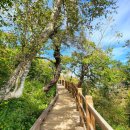 플랑드베르 풀빌라 이미지