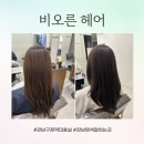 강남구청역 미용실 비오른헤어 풀컬러 염색 후기 ( 백하 부원장님 )