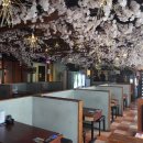 이찌방이야기 이미지