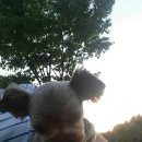 힐스타동물병원 이미지