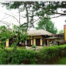 중앙탑공원 이미지