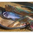 외연도2 이미지