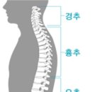 서울숲필라테스둘레길점