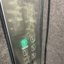 강남 컬러플레이스 퍼스널컬러 내돈내산 1년 경과 후기(여름쿨라이트, 주차꿀팁)