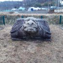 성주이씨 열녀문 이미지