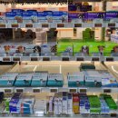 P.N.C파워크린 | 부산창고형약국 기장 오시리아약국 가격 1탄 파스 감기약 소화제 잇몸약 동물의약품 등등 내돈내산