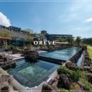 오레브리조트(O'reve Resort) 네이버블로그