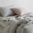 더설레임 이미지