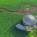 골든벨농장 이미지