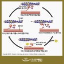 우리기전 이미지