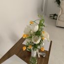 플라플라스튜디오