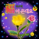 보니따필라테스부천