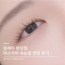 분당-67 | [경기/성남/속눈썹연장] 미금 섬세이 분당점｜분당 유지력 좋은 마스카라 연장 추천