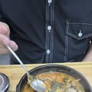 도리1천 이미지