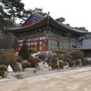 백화사