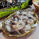 샤브온 | 전주 신시가지 푸른수산에서 새조개 샤브샤브 먹고온 후기! 내돈내산