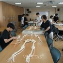 바이오벨리2로L 이미지