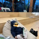 영흥어린이공원 | 수원 실내 피크닉 아이와 가볼만한곳 영흥수목원 온실데이트 입장료 주차장