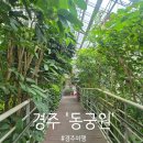 139 | [경주] 경주여행코스 TOP5 경주 동궁원 솔직후기, 경주 가족여행 갓성비 코스 강력추천! 비오는날에도...