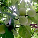 우네농장 이미지