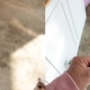 도그조아 이미지