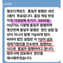 사기꾼&#34; 스토리 이미지