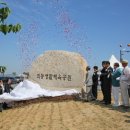 외동생활체육공원 축구장 이미지