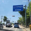 대부식당 | [24.05.31.] 안산, 구봉도 식당 &#34;대부객주&#34; 방문 후기!!