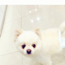 다남로165번길 이미지