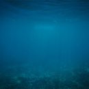 깊은바다 이미지