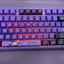 지엔브이 이미지