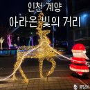 계양1동 주민센터 | 계양 아라온 빛의 거리 트리마을 : 인천 야경 명소