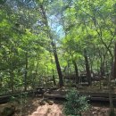 화왕산자연휴양림 | 창녕) 화왕산자연휴양림 캠크닉 후기