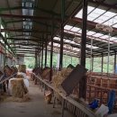 단양한우 목장 이미지