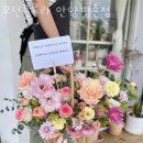 모던플로라