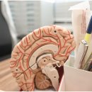 별이랑청담신경과의원 이미지