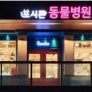 커낼워크 여름동2 이미지