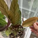 기범농장 이미지