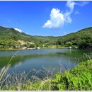 그린 낚시터 이미지